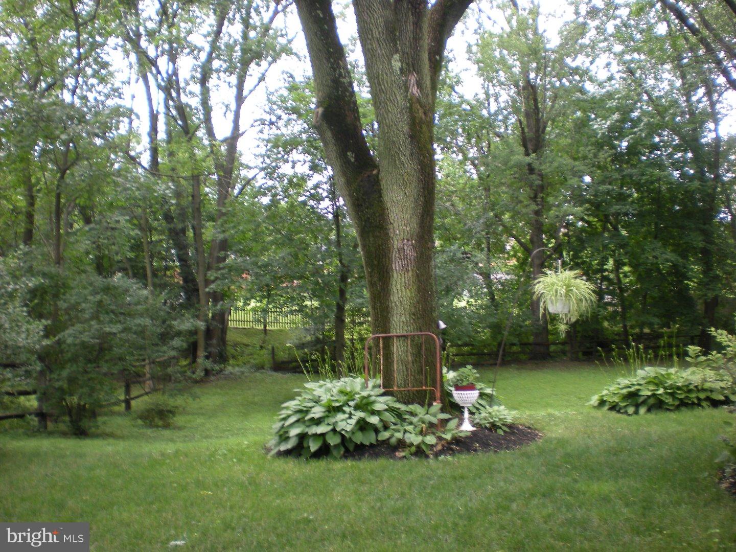 307 Devon Road Cinnaminson, NJ 08077 - Photo 5 of 5 Gallery Image 5