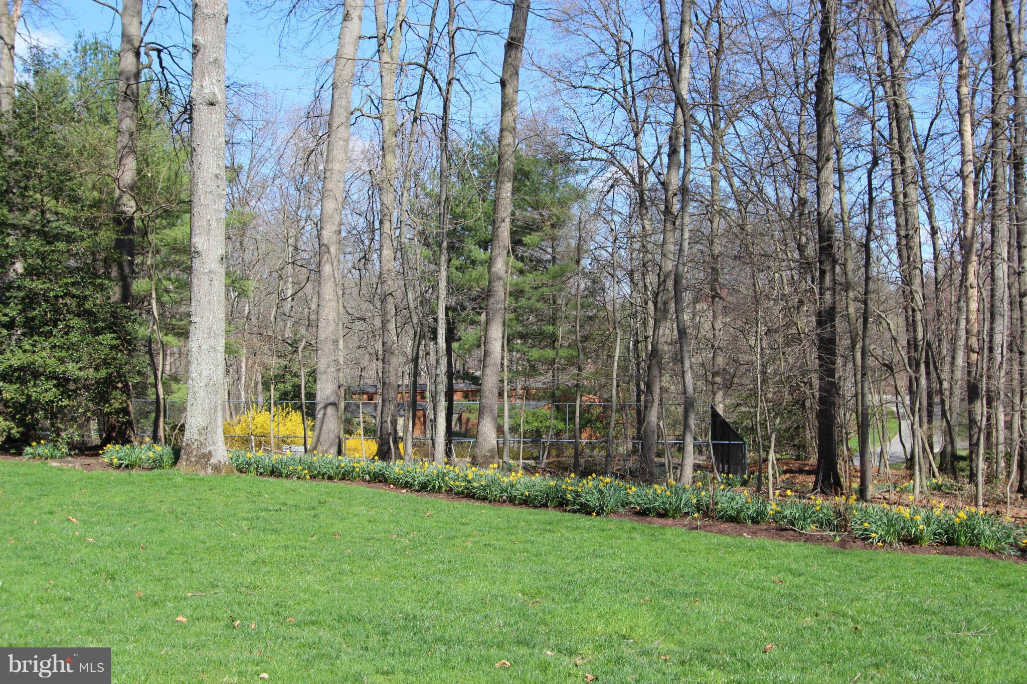 2313 Sawdust Road Vienna, VA 22181 - Photo 29 of 30 View