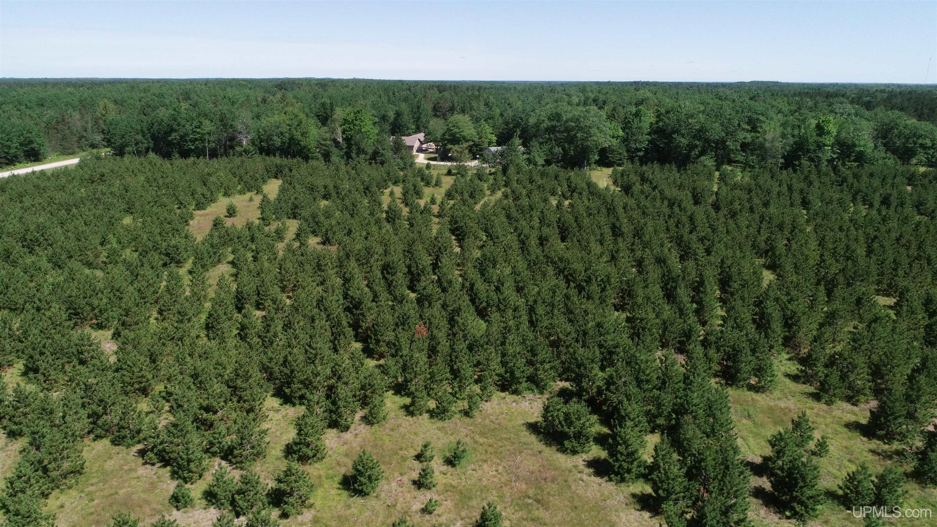 Tbd Flodin Road Manistique, MI 49854 - Photo 10 of 55 Gallery Image 10