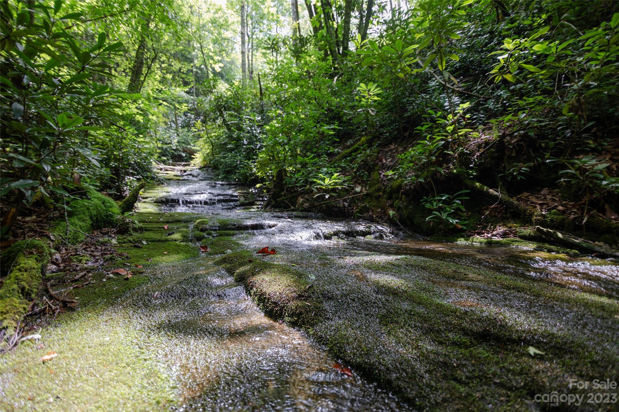 Tbd Nancy Mountain Road Rosman, NC 28772 - Photo 20 of 44 Gallery Image 20
