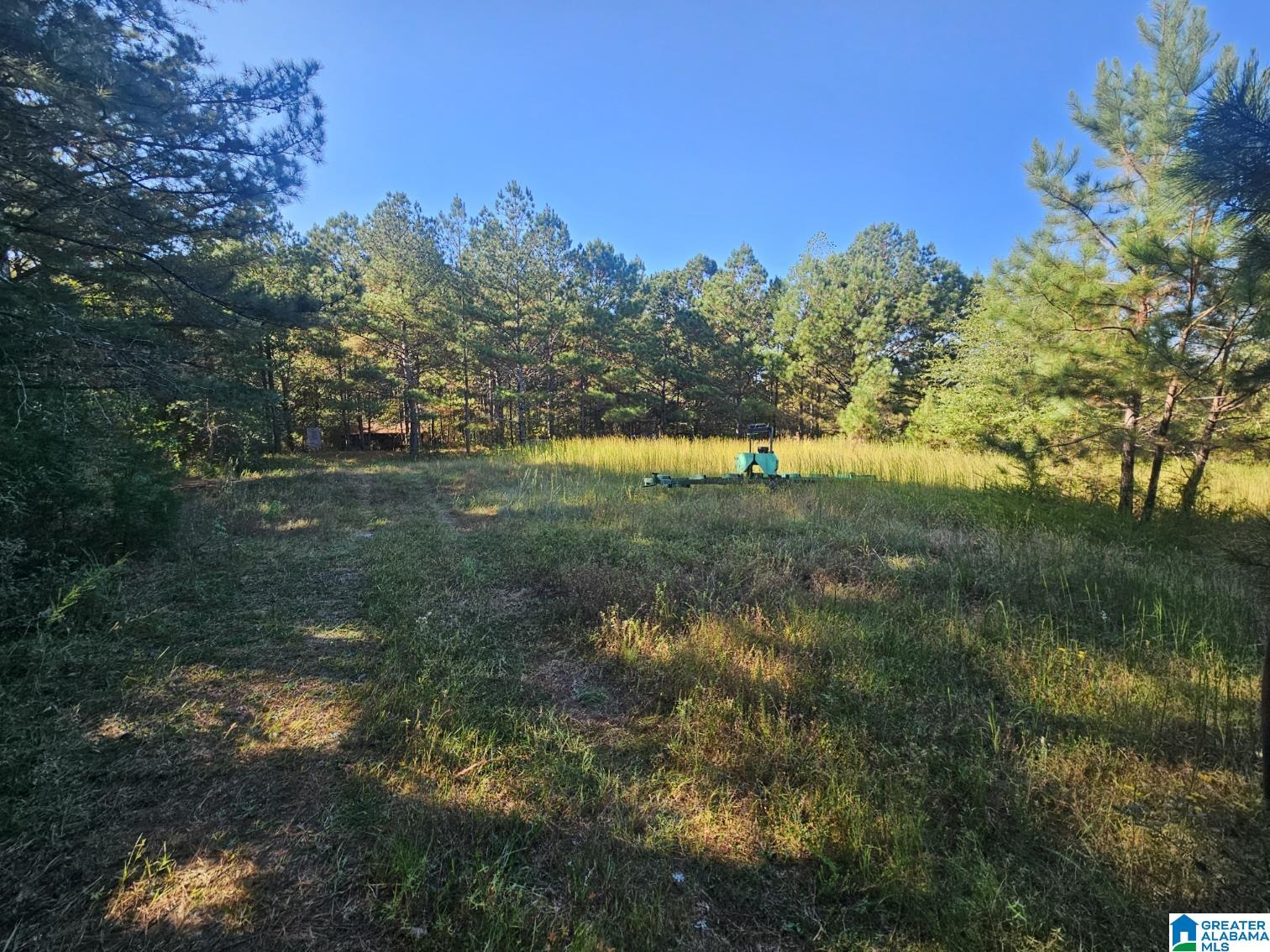 5288 Highway 27 Springville, AL 35146 - Photo 7 of 25