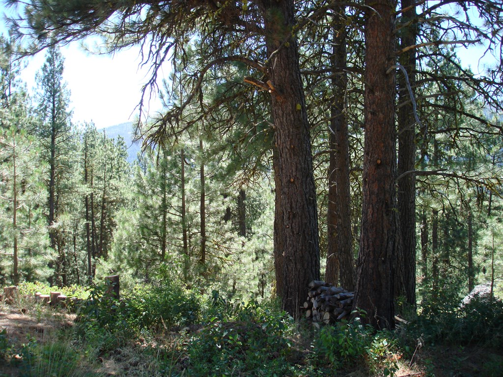 464 Collier View Road, Unit 91 Cascade, ID 83611 - Photo 17 of 25 Gallery Image 17