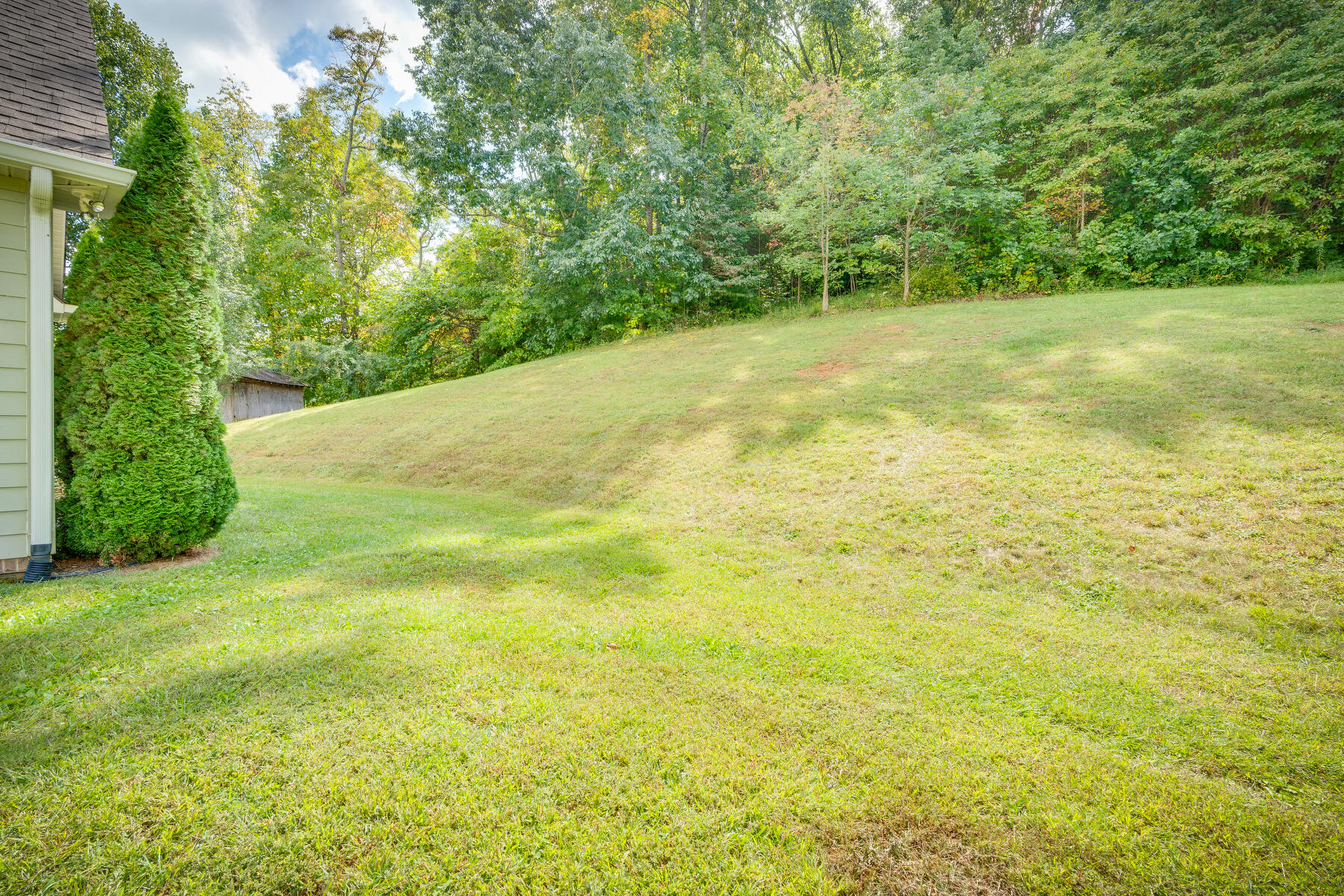 152 Link Road Fall Branch, TN 37656 - Photo 40 of 54 040