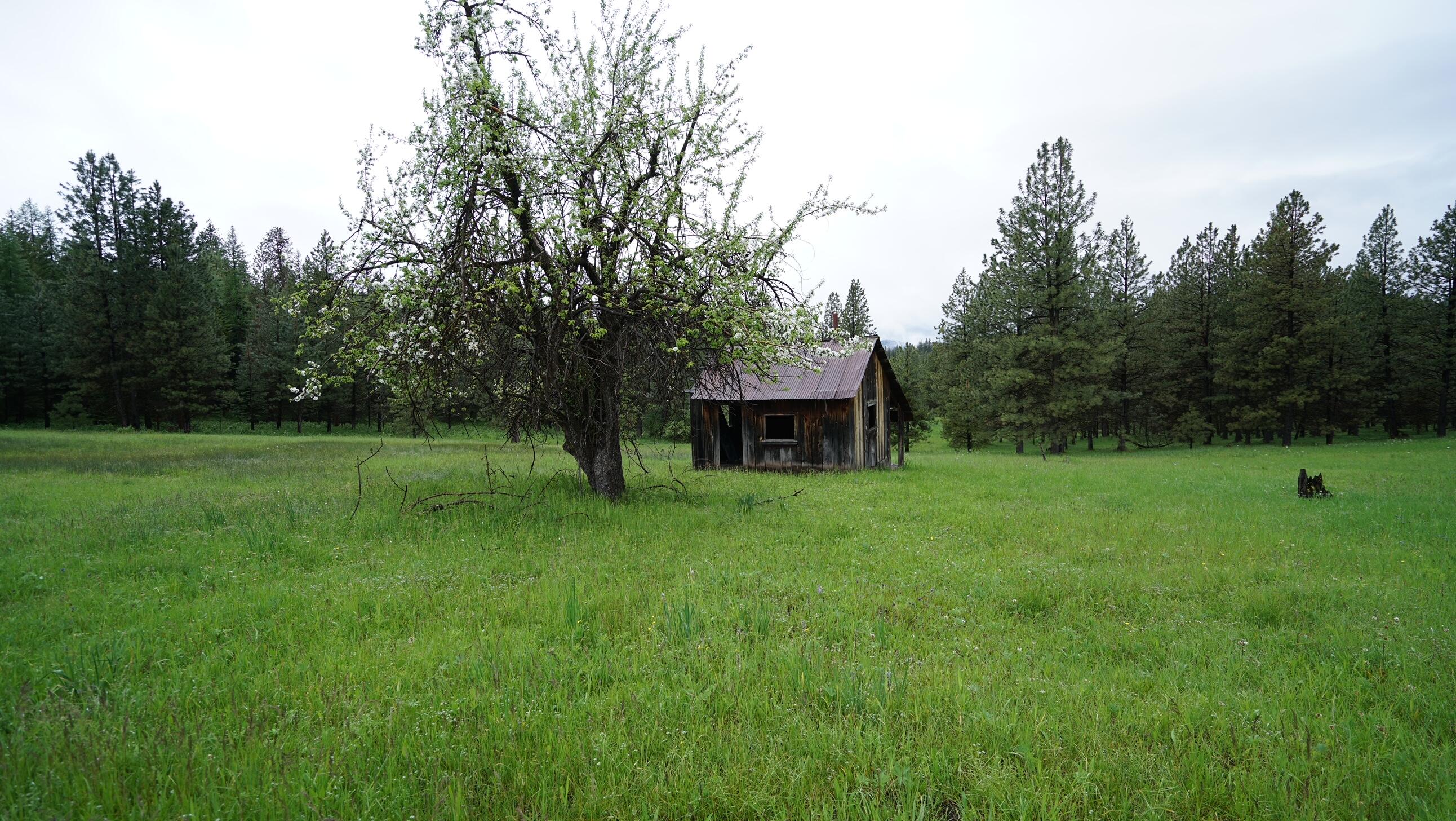 214 Forest Road Bates, OR 97817 - Photo 15 of 34 DSC02325