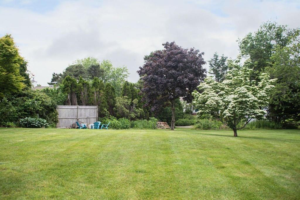 14 Hillsea Road Yarmouth, MA 02675 - Photo 42 of 42 a view of a trees with a big yard