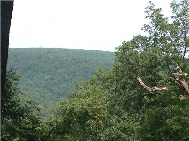 7 Old Harris Turnpike Road, Unit 7 Jasper, TN 37347 - Photo 1 of 9 Primary Photo