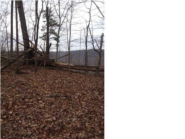 7 Old Harris Turnpike Road, Unit 7 Jasper, TN 37347 - Photo 4 of 9 Additional Photo