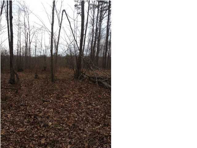 7 Old Harris Turnpike Road, Unit 7 Jasper, TN 37347 - Photo 5 of 9 Additional Photo