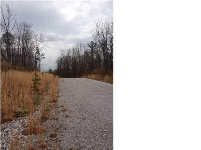7 Old Harris Turnpike Road, Unit 7 Jasper, TN 37347 - Photo 6 of 9 Additional Photo