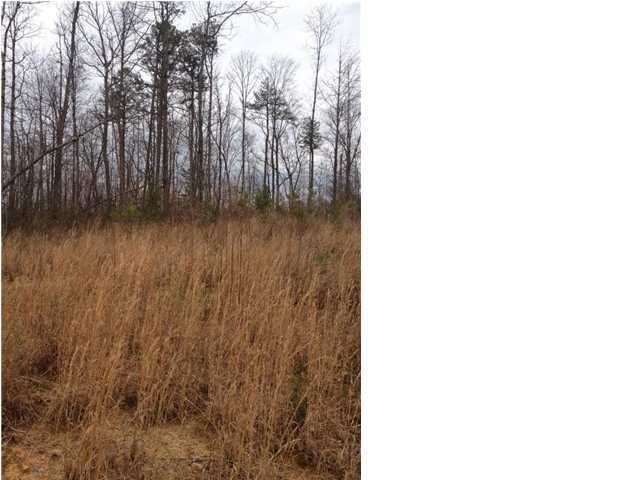7 Old Harris Turnpike Road, Unit 7 Jasper, TN 37347 - Photo 7 of 9 Additional Photo