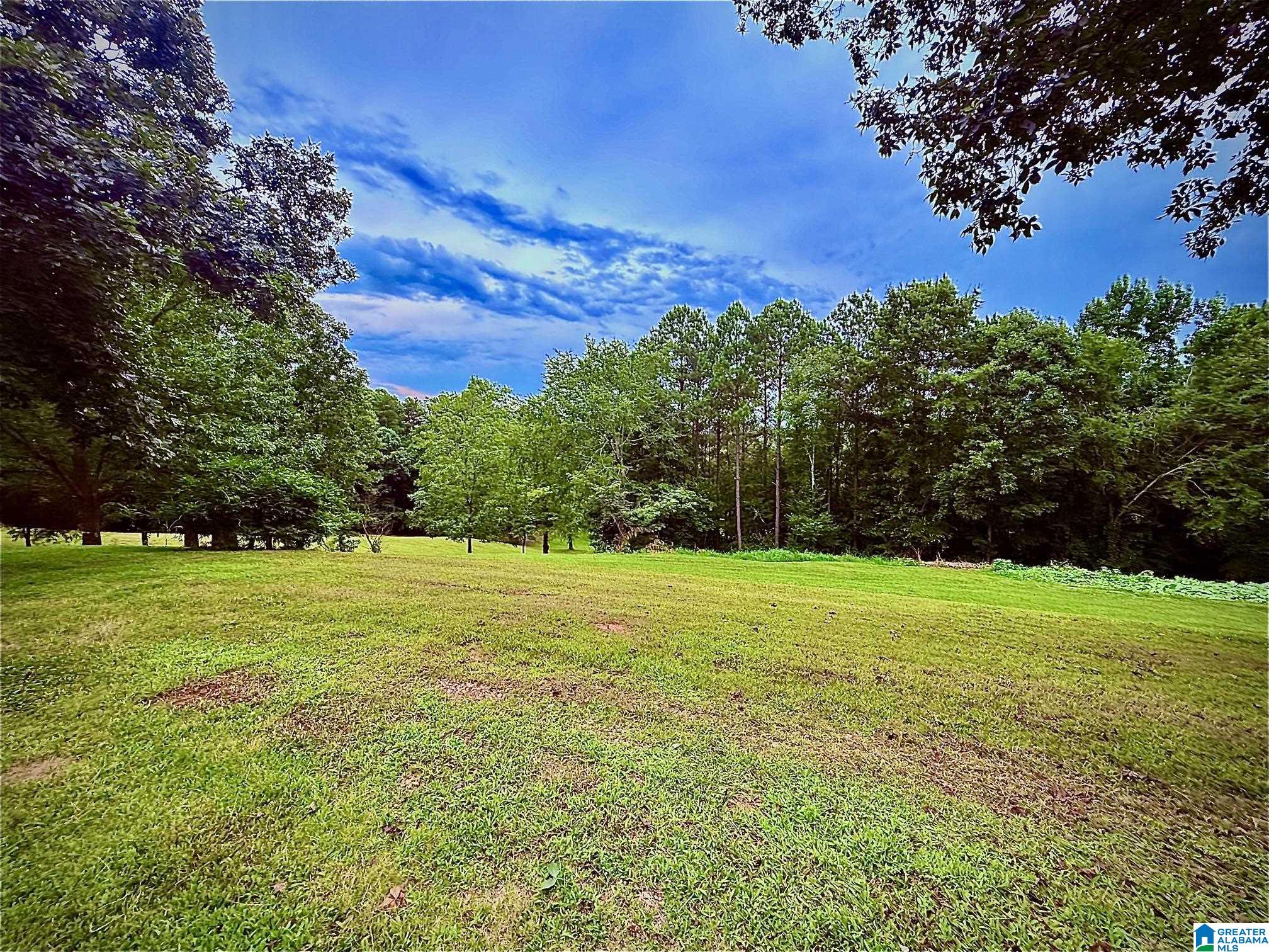 785 Shady Grove Road Piedmont, AL 36272 - Photo 65 of 70