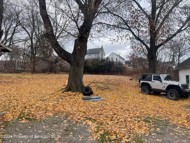 a view of a yard with a tree