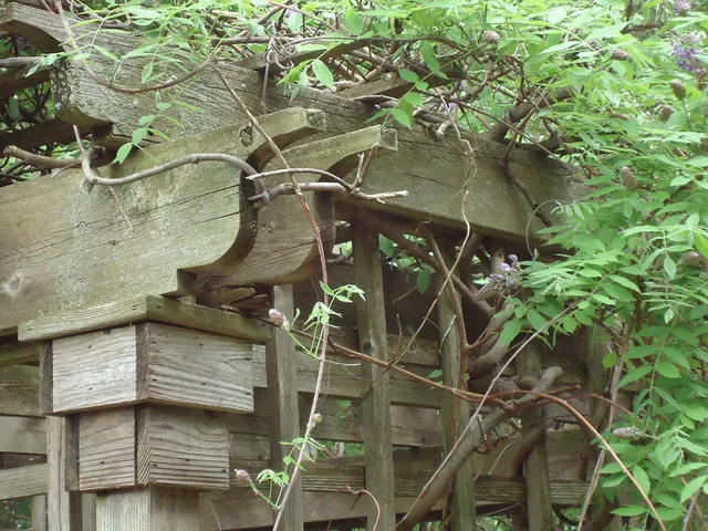 $375,000 | 8913 22nd Street Southwest, Demotte, IN 46310