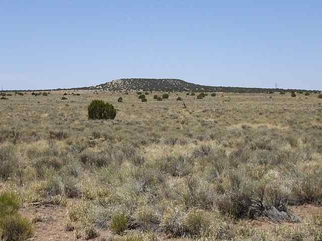 5 Section 26 T13n R29e St. Johns, AZ 85936 - Photo 3 of 4