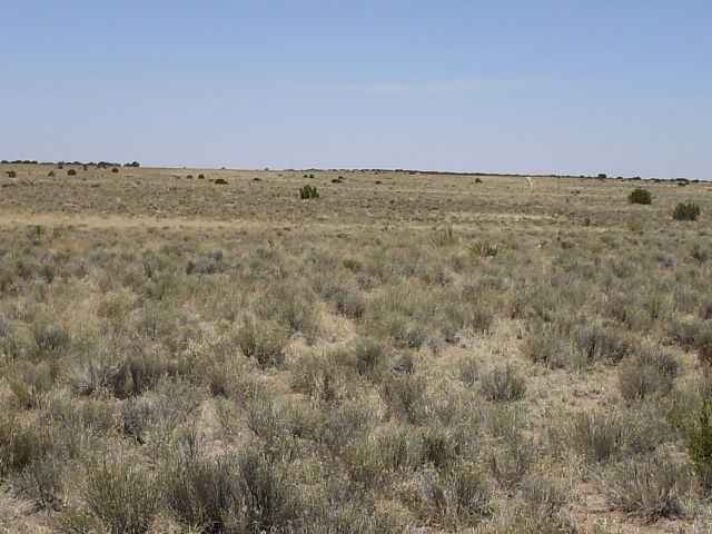 5 Section 26 T13n R29e St. Johns, AZ 85936 - Photo 4 of 4