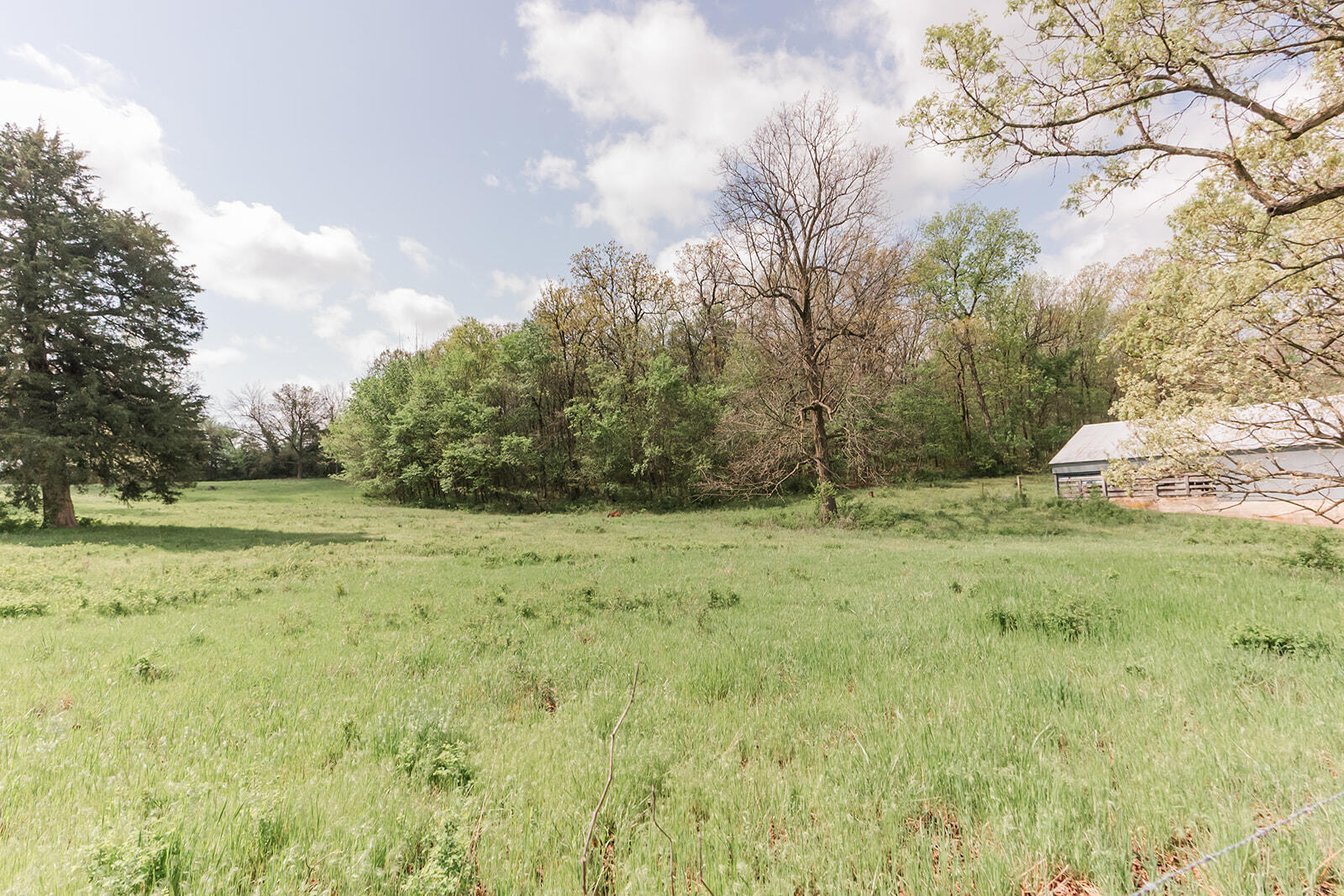 5423 South 226th Road Pleasant Hope, MO 65725 - Photo 44 of 45 5423S226-45