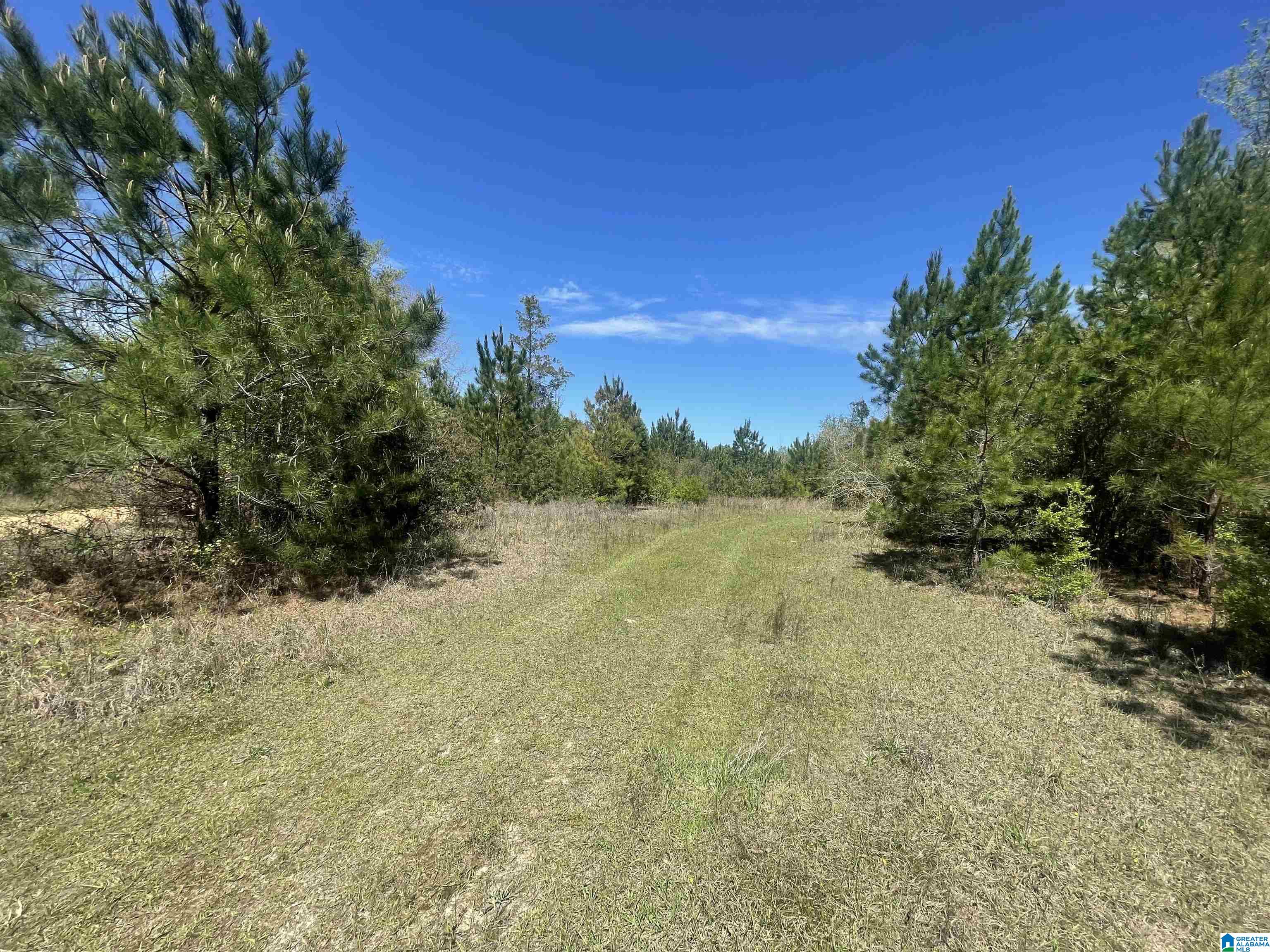 0 Richardson Road Brewton, AL 36426 - Photo 29 of 47