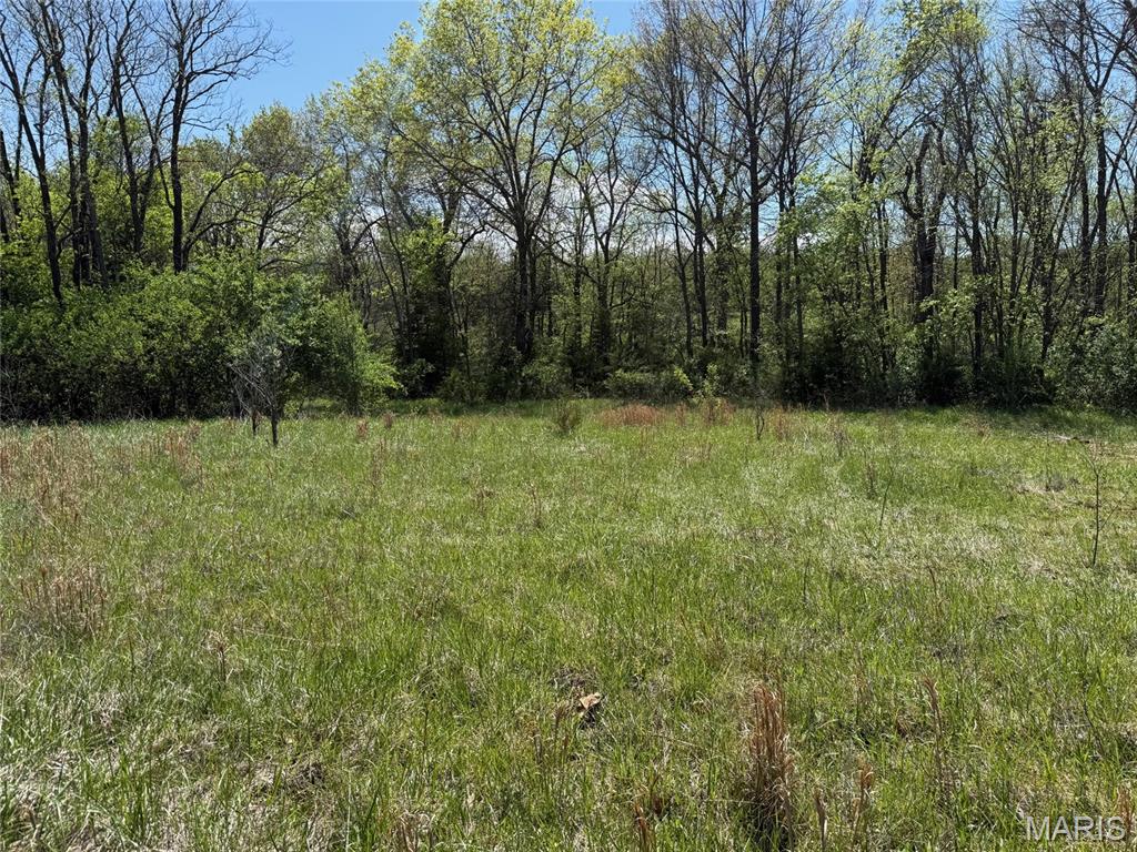 3134 Creek Road Moscow Mills, MO 63362 - Photo 7 of 35