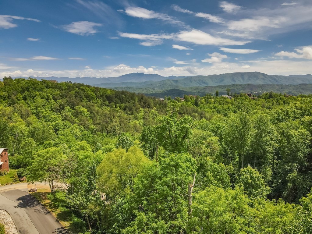 134 Summit Trails Drive Sevierville, TN 37862 - Photo 18 of 19
