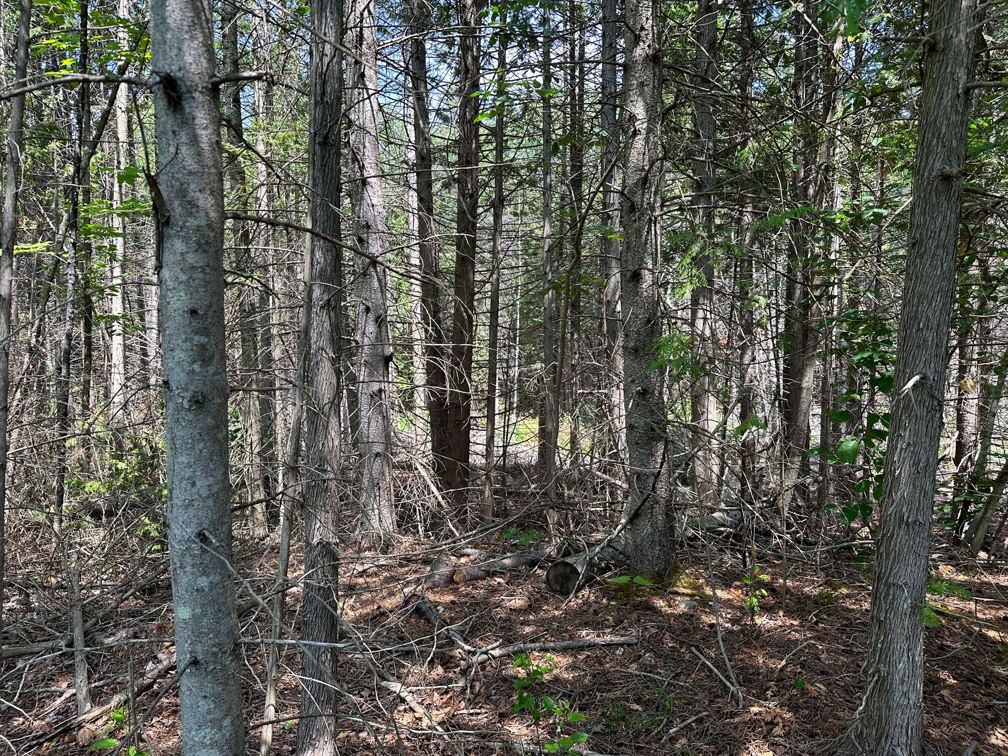 1363 Cheeseman Road St. Ignace, MI 49781 - Photo 35 of 35 Gallery Image 35
