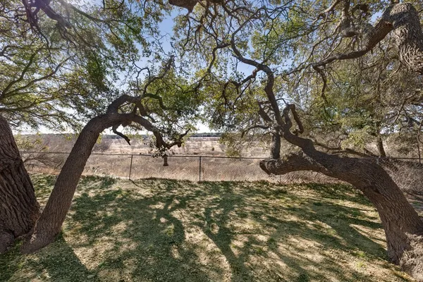 a view of a backyard with table and chairs and a large tree