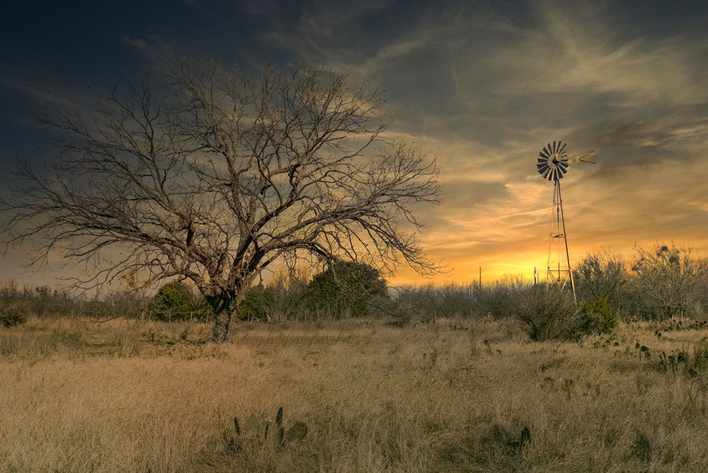 73 Fm 1221 Hext, TX 76848 - Photo 4 of 27 a view of a yard