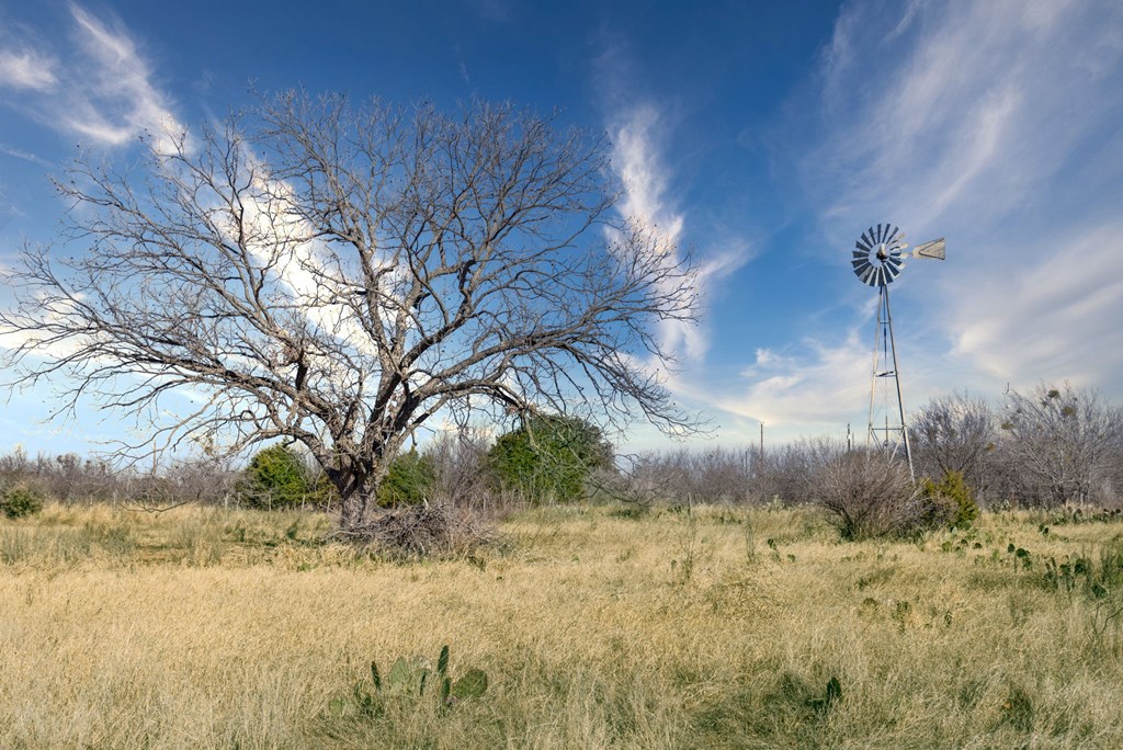 73 Fm 1221 Hext, TX 76848 - Photo 5 of 27 a view of a yard