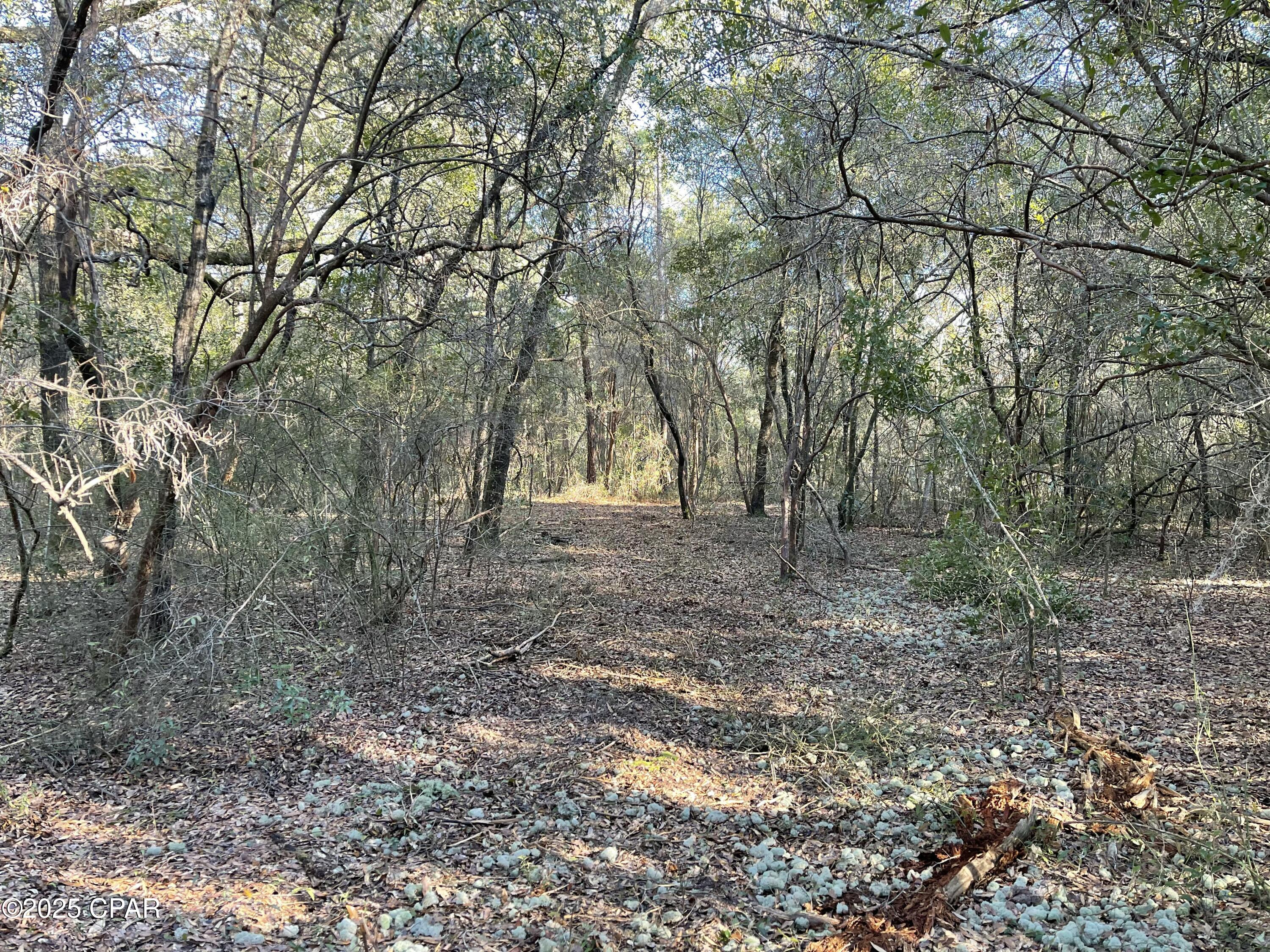 0 Bent Oaks Road Chipley, FL 32428 - Photo 17 of 21