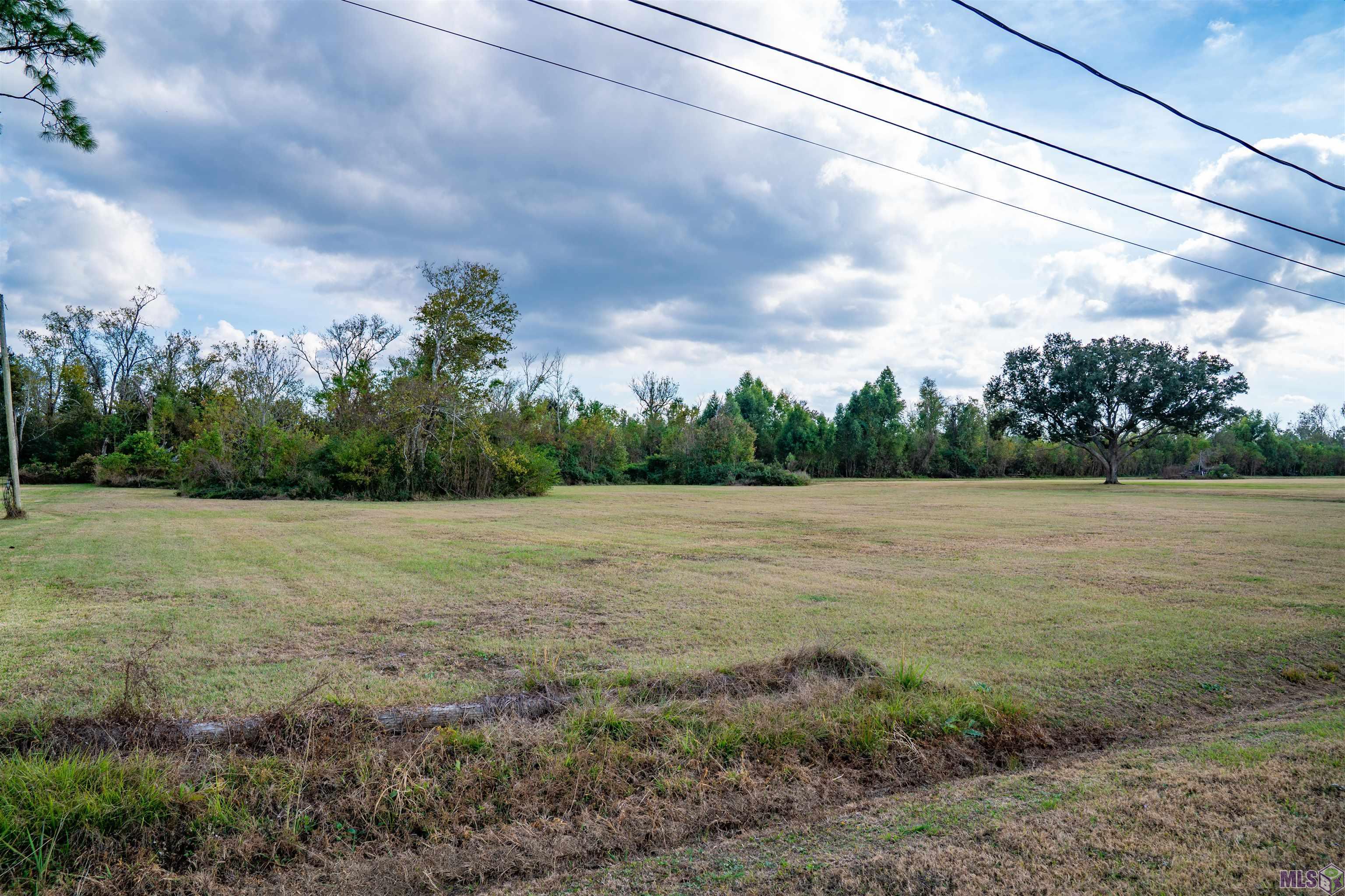 415 Central Lafourche Drive Raceland, LA 70394 - Photo 3 of 9