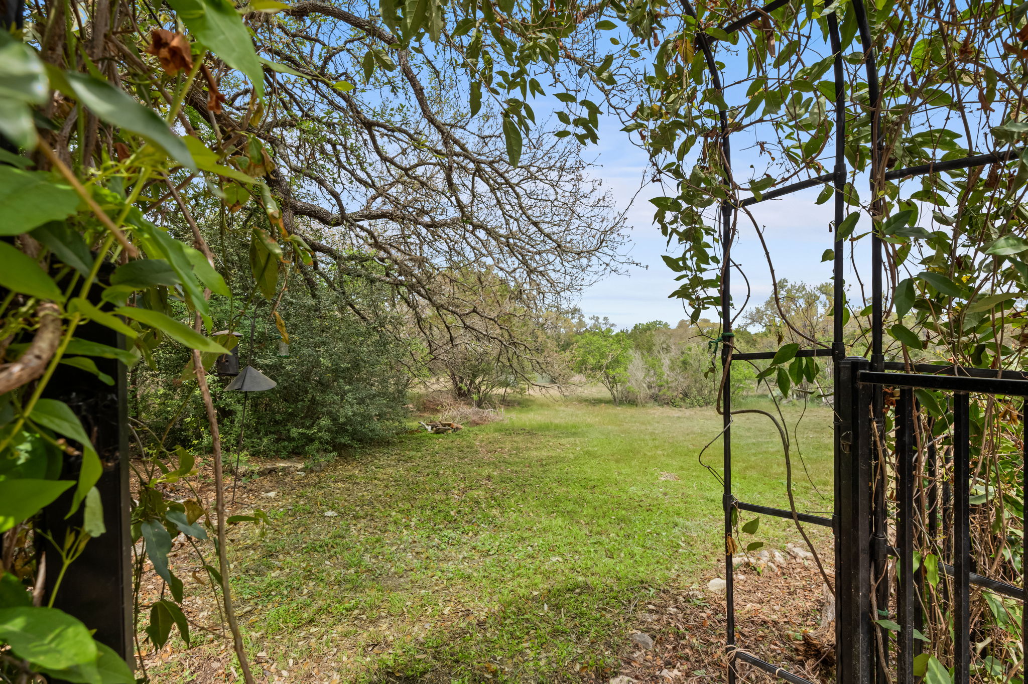 10804 Ariock Lane Austin, TX 78739 - Photo 30 of 32 a view of yard with large tree