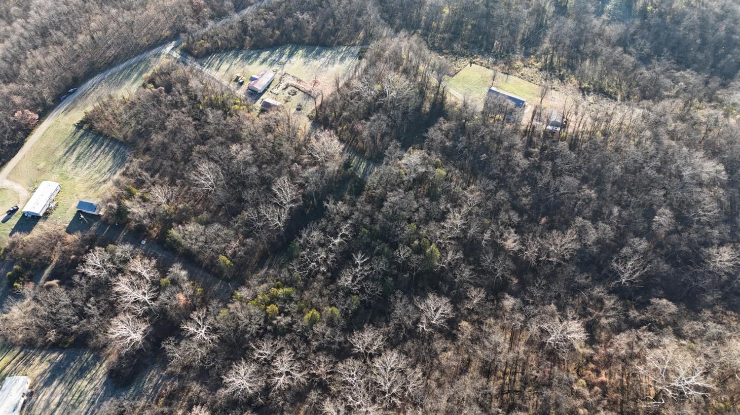 0 Scotts Ridge Road Rising Sun, IN 47040 - Photo 4 of 9