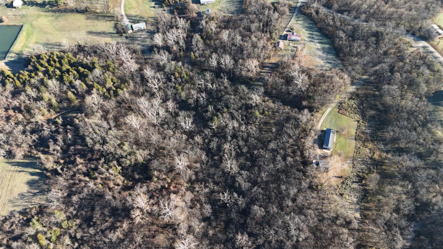 0 Scotts Ridge Road Rising Sun, IN 47040 - Photo 6 of 9