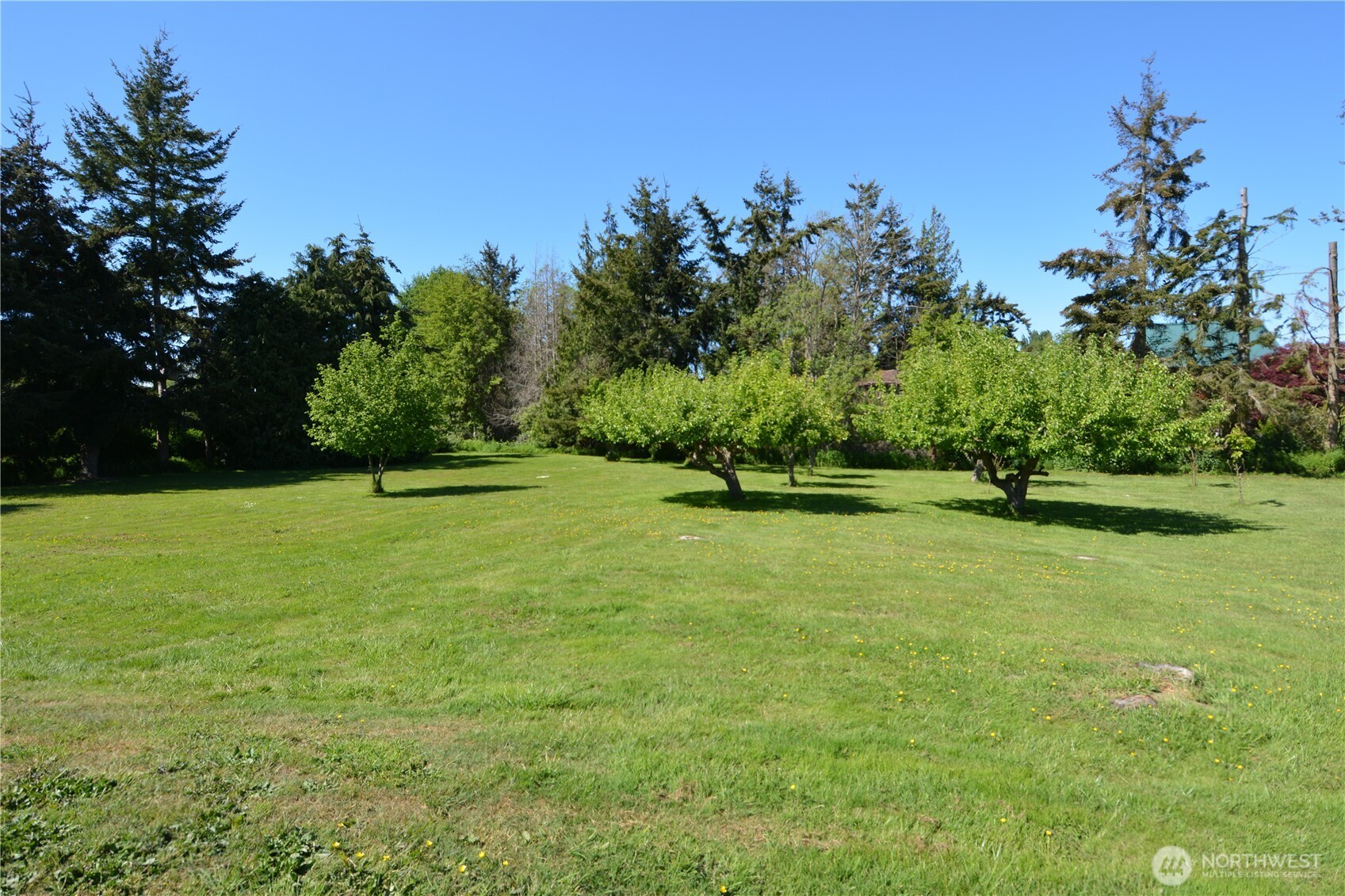 4495 Sequim-Dungeness Way Sequim, WA 98382 - Photo 27 of 40