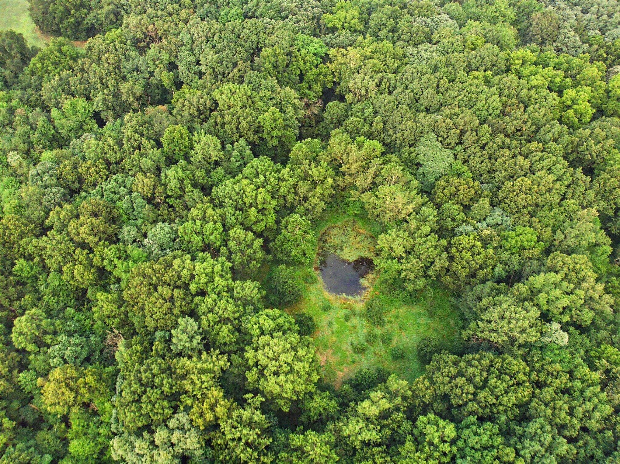 0 Gumwood Road Niles, MI 49120 - Photo 13 of 18 dji_0955-5