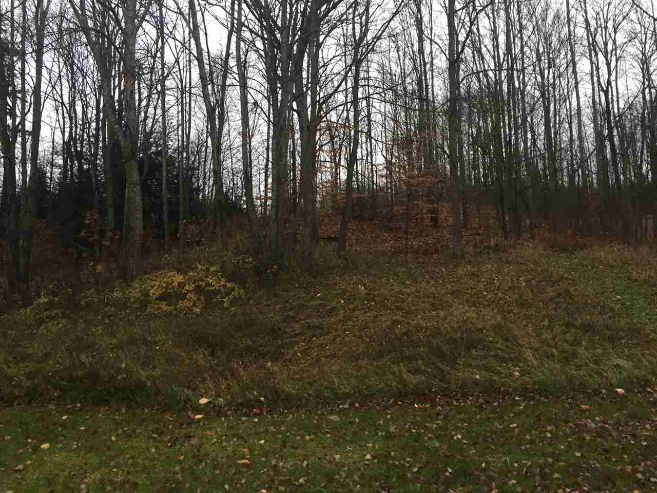 3801 North 47 Road Manton, MI 49663 - Photo 59 of 68 1825262-63.JPG