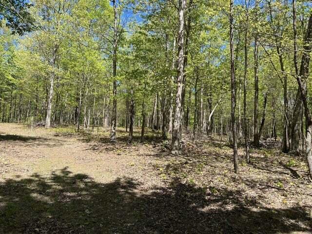 30 B Cosmos Trail, Unit 30B Dunlap, TN 37327 - Photo 11 of 41 Sammy 2