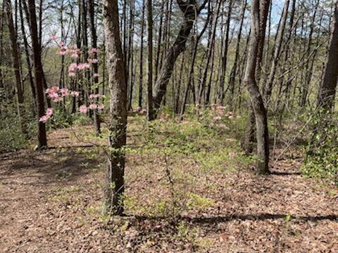 30 B Cosmos Trail, Unit 30B Dunlap, TN 37327 - Photo 16 of 41 Sammy 8