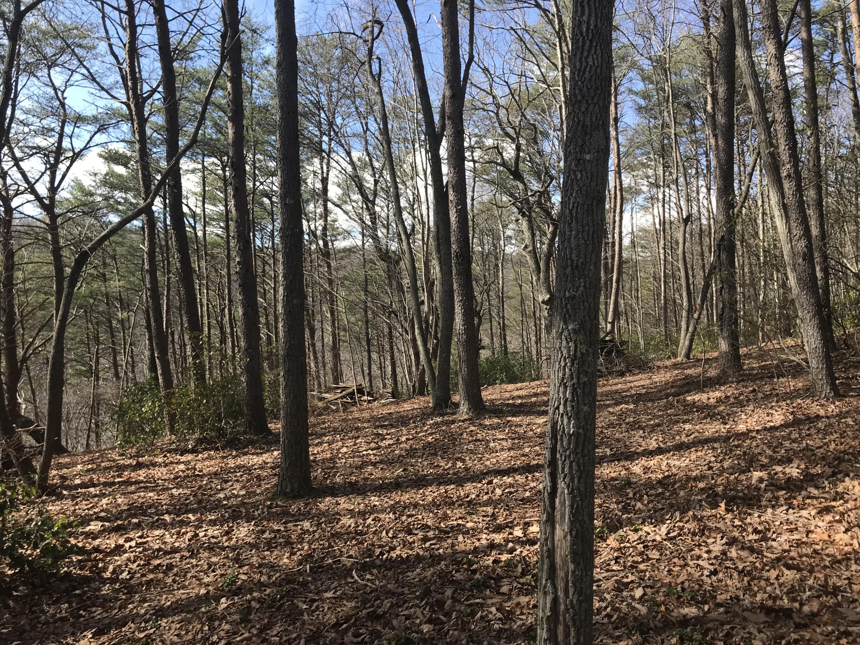 30 B Cosmos Trail, Unit 30B Dunlap, TN 37327 - Photo 18 of 41 IMG_7598