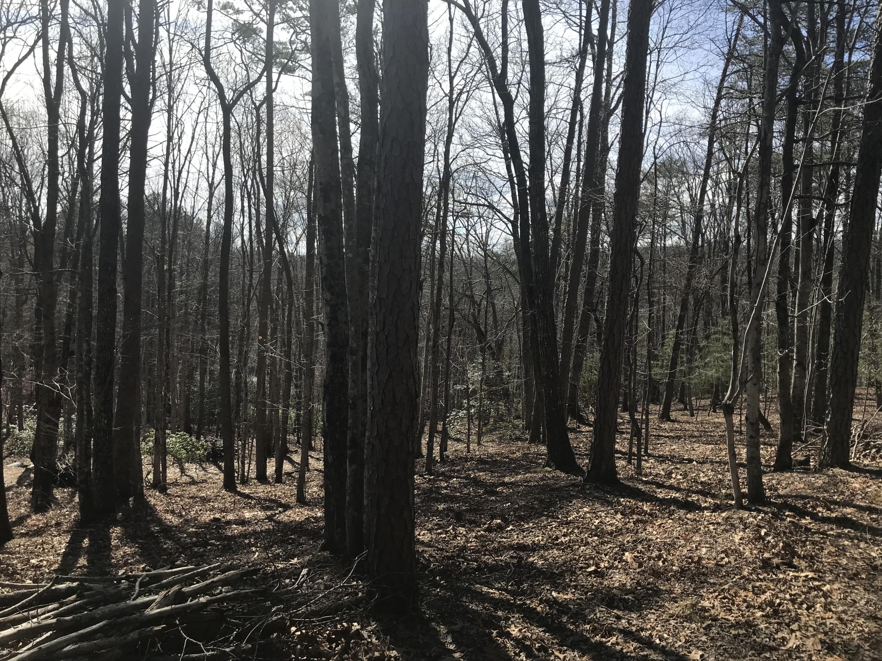 30 B Cosmos Trail, Unit 30B Dunlap, TN 37327 - Photo 20 of 41 IMG_7559