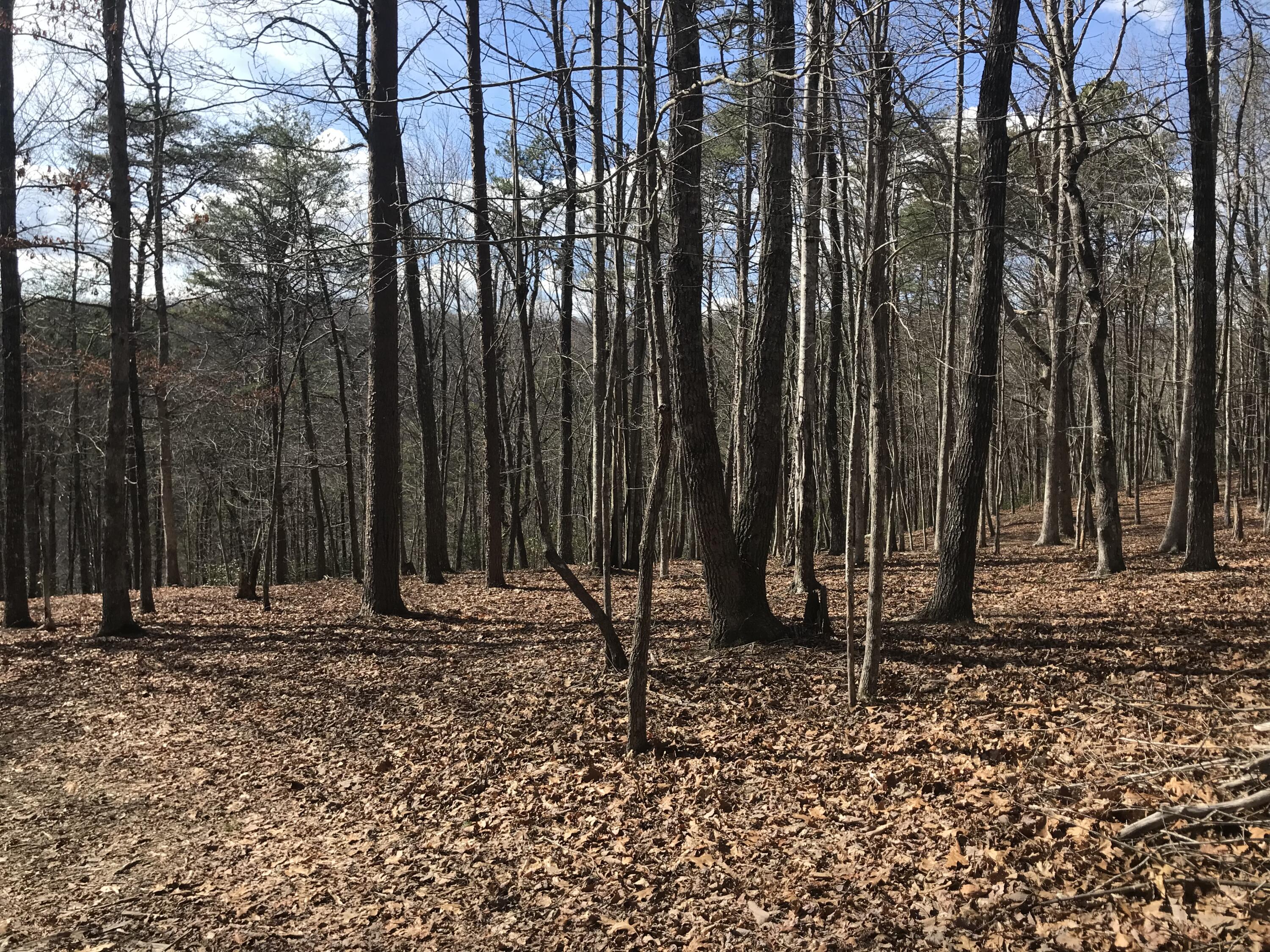 30 B Cosmos Trail, Unit 30B Dunlap, TN 37327 - Photo 2 of 41 IMG_7596