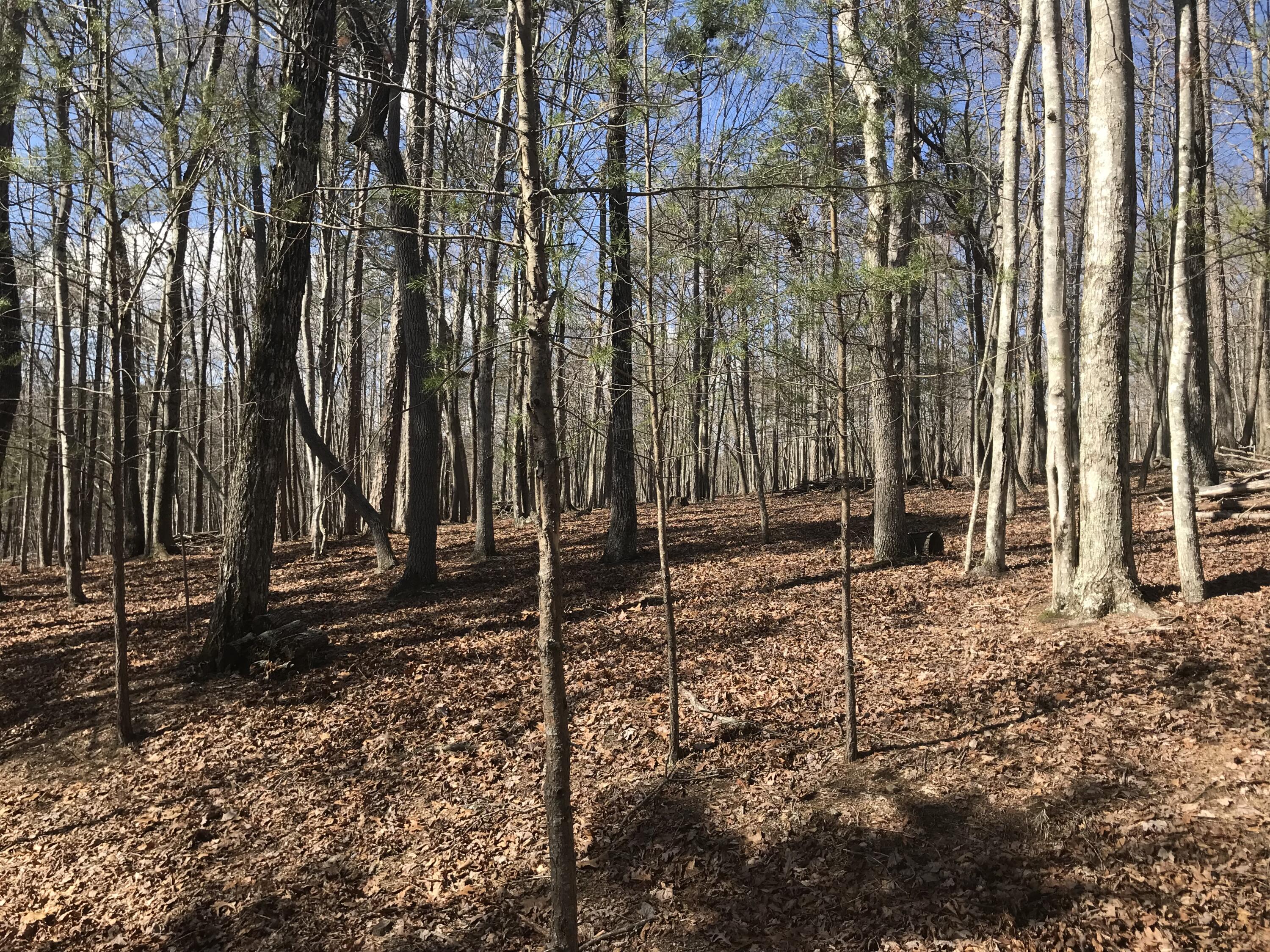 30 B Cosmos Trail, Unit 30B Dunlap, TN 37327 - Photo 21 of 41 IMG_7558