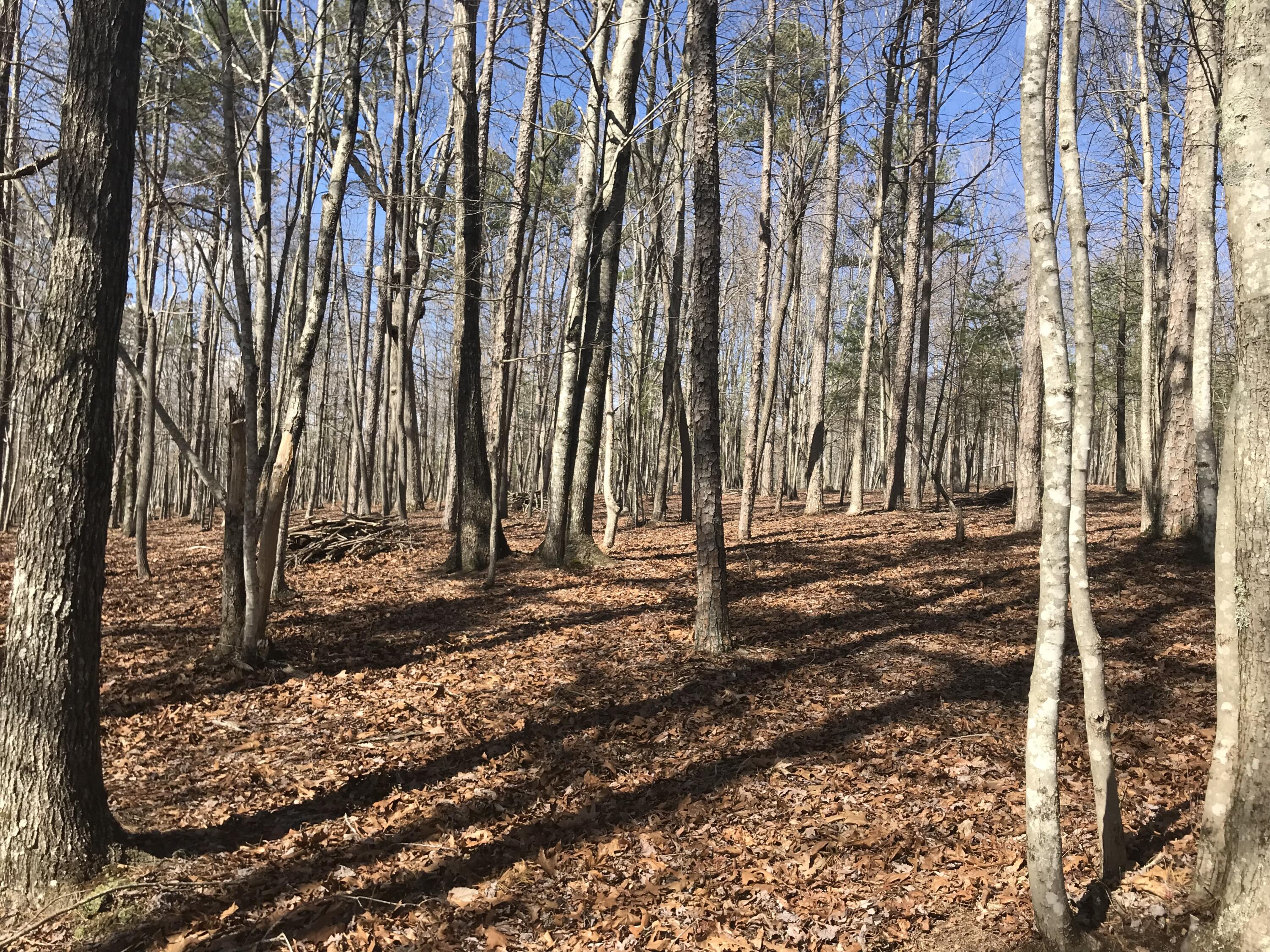 30 B Cosmos Trail, Unit 30B Dunlap, TN 37327 - Photo 22 of 41 IMG_7561