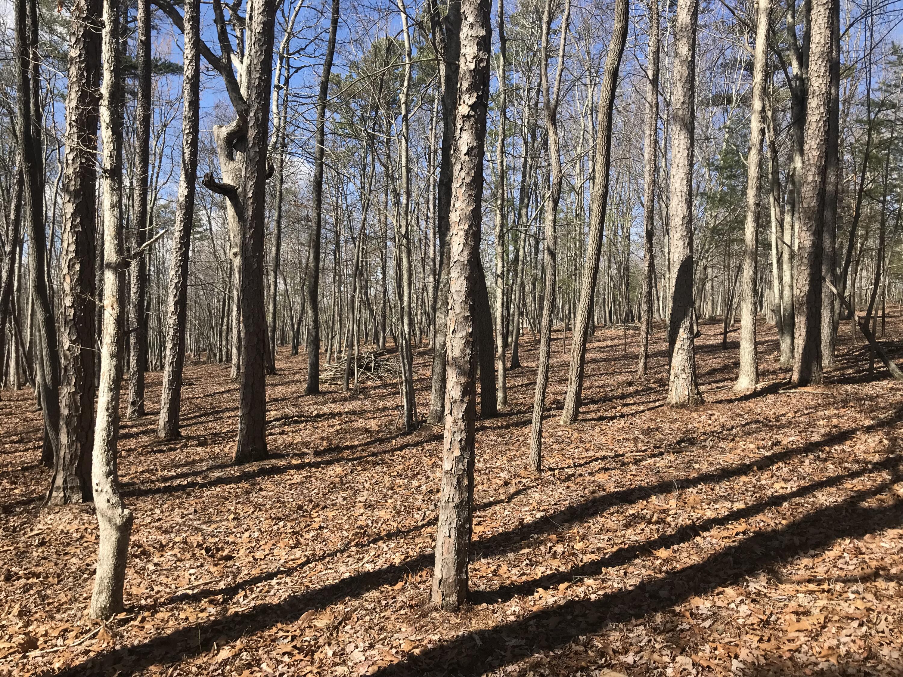 30 B Cosmos Trail, Unit 30B Dunlap, TN 37327 - Photo 23 of 41 IMG_7563