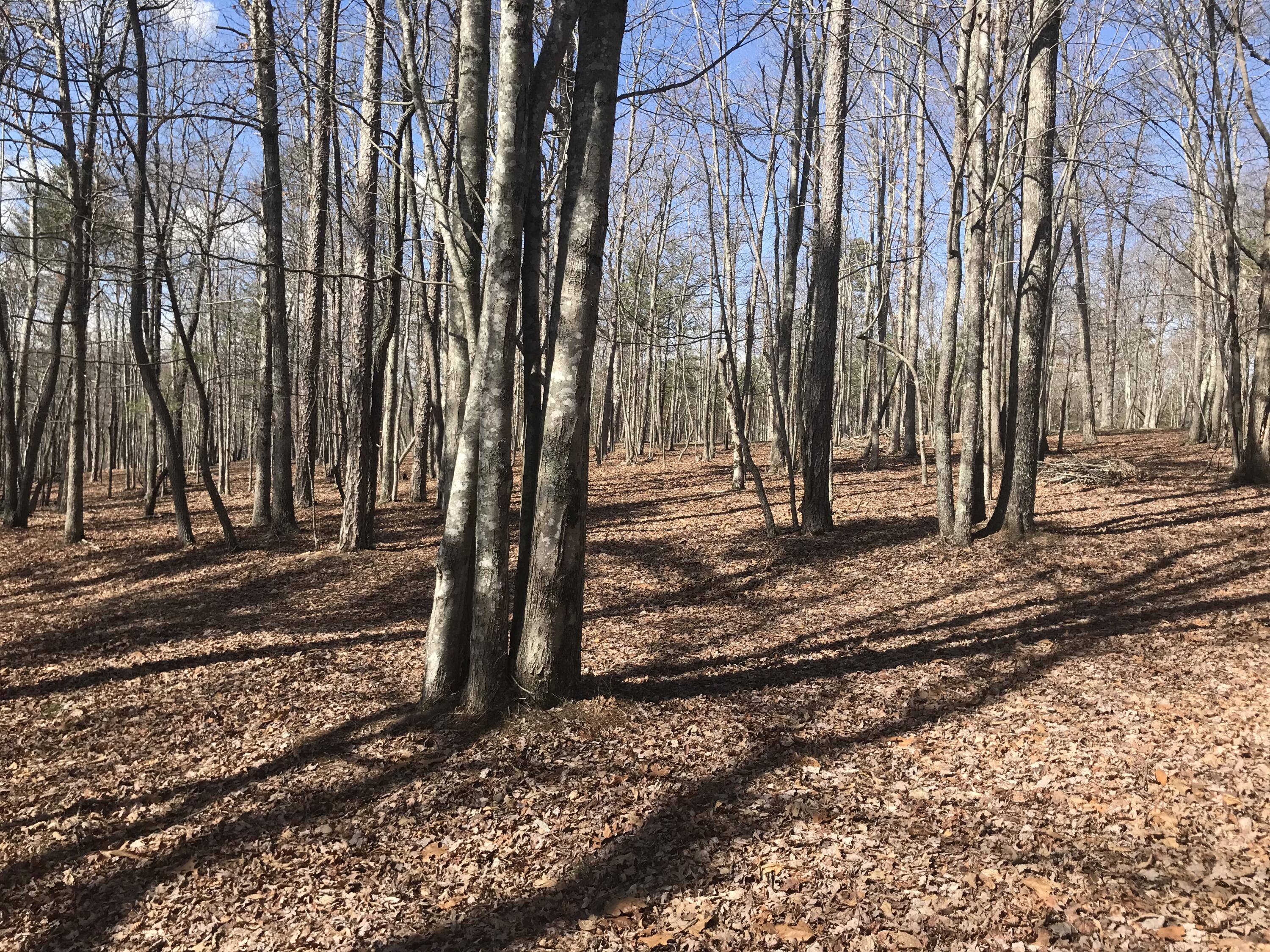 30 B Cosmos Trail, Unit 30B Dunlap, TN 37327 - Photo 24 of 41 IMG_7565