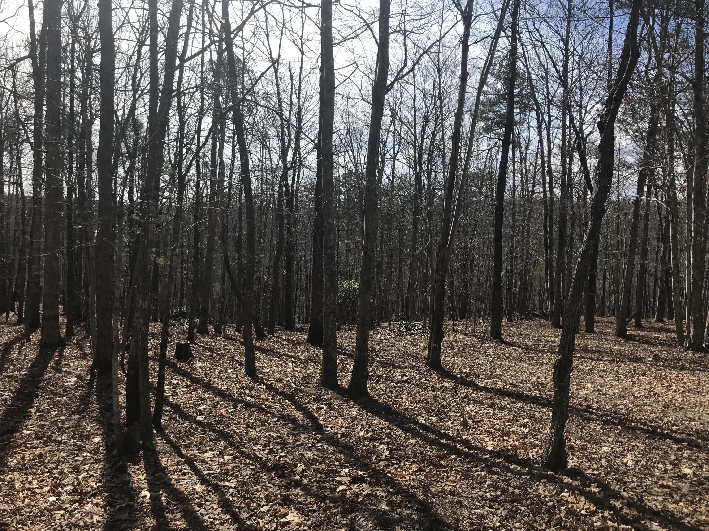 30 B Cosmos Trail, Unit 30B Dunlap, TN 37327 - Photo 25 of 41 IMG_7571