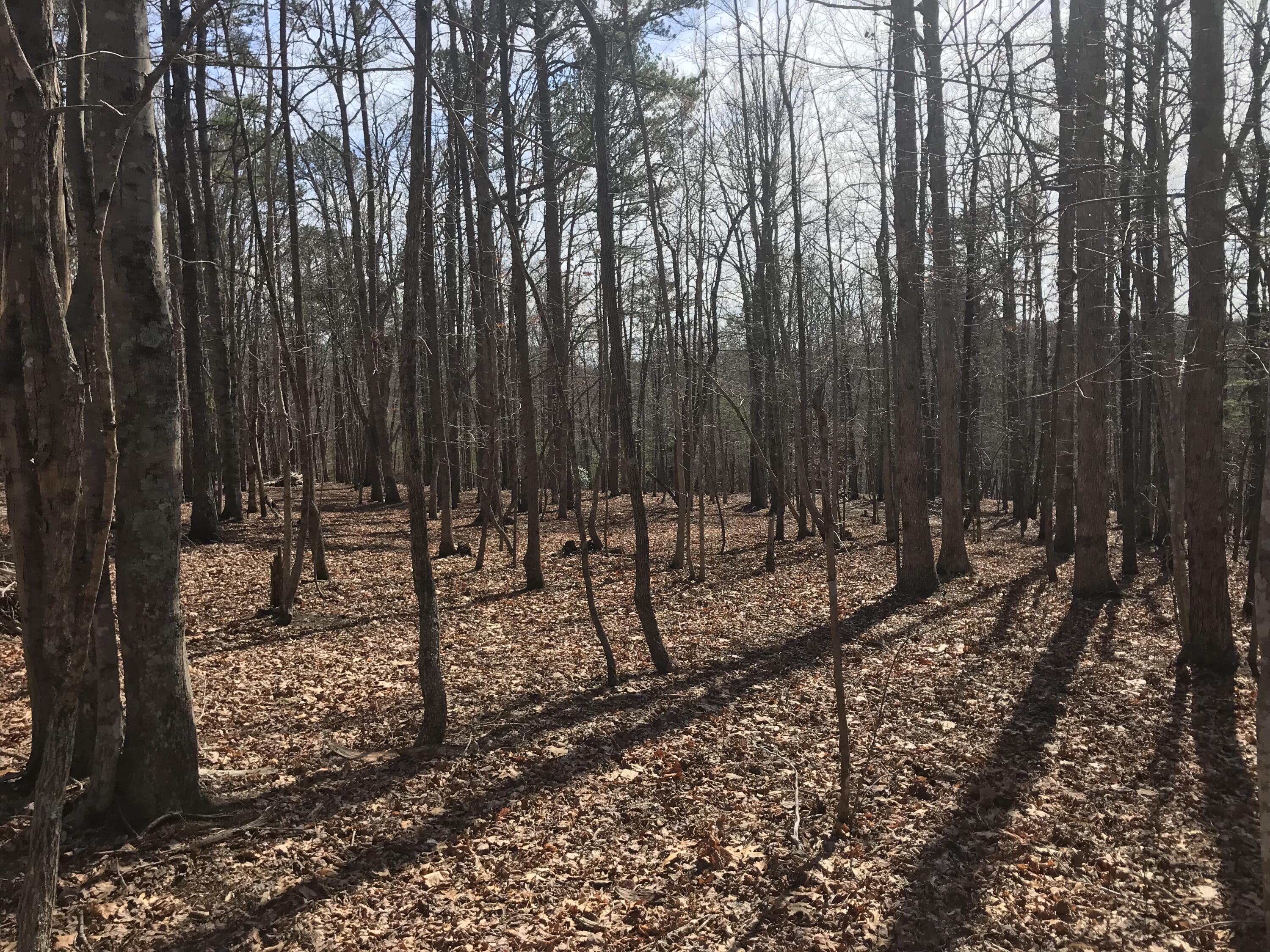 30 B Cosmos Trail, Unit 30B Dunlap, TN 37327 - Photo 26 of 41 IMG_7574