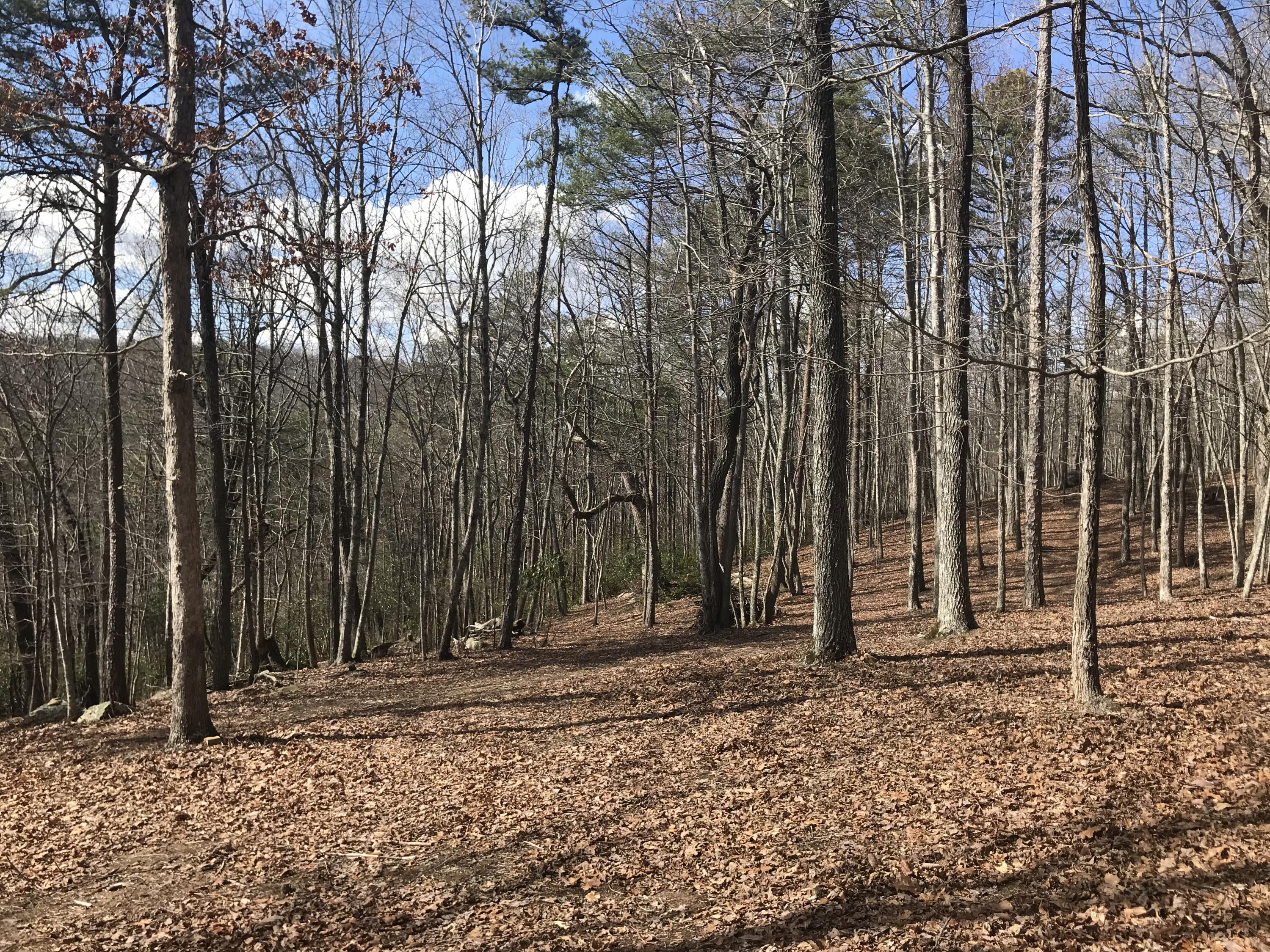 30 B Cosmos Trail, Unit 30B Dunlap, TN 37327 - Photo 27 of 41 IMG_7597