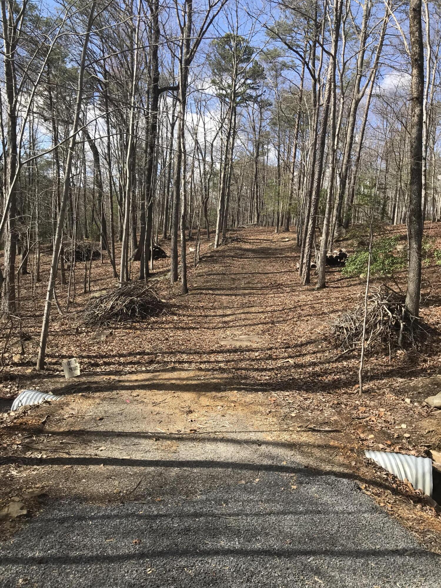 30 B Cosmos Trail, Unit 30B Dunlap, TN 37327 - Photo 29 of 41 IMG_7610