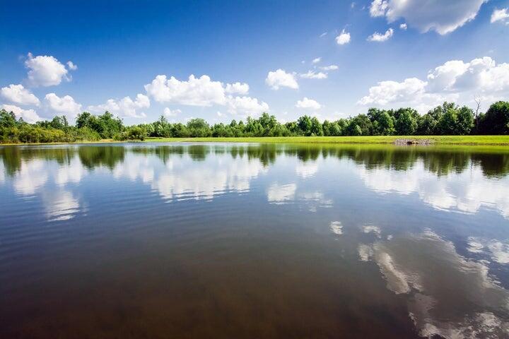 30 B Cosmos Trail, Unit 30B Dunlap, TN 37327 - Photo 34 of 41 Sammy 19