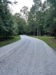 30 B Cosmos Trail, Unit 30B Dunlap, TN 37327 - Photo 39 of 41 Sammy 13